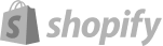 shopify-2 1